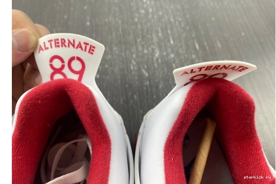 Retro 308497-106 Jordan 89 308497-106 Alternate 4 0927